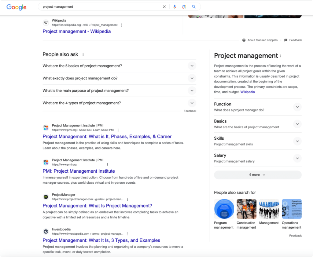 Google SERPs: project management